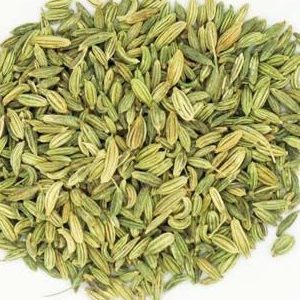 FENNEL