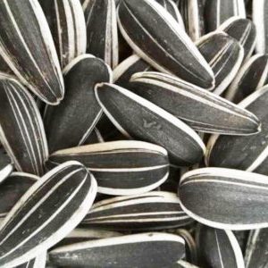 SUNFLOWER SEEDS